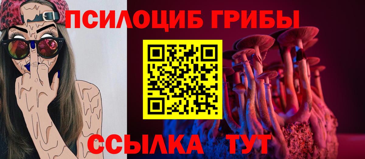 Галлюциногенные грибы Psilocybe  Вход с VPN  Кириши 